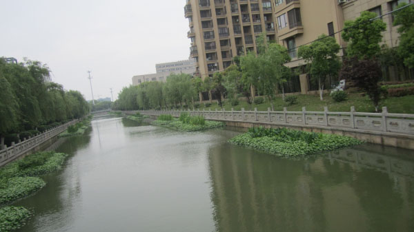 Black and Odorous River Restoration Project of Poly Dongjiang